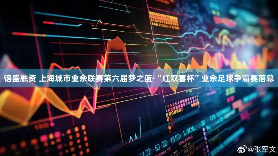 镕盛融资 上海城市业余联赛第六届梦之蓝·“红双喜杯”业余足球争霸赛落幕